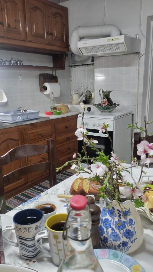 Willa Vaggelitsa'S House Pitagorio Zewnętrze zdjęcie